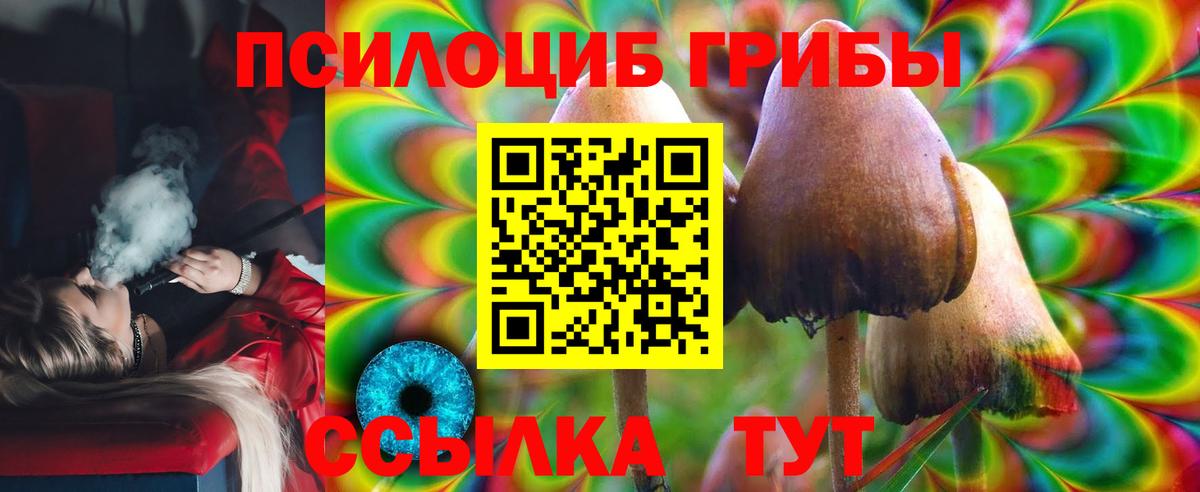 Галлюциногенные грибы MAGIC MUSHROOMS  Галлюциногенные грибы ЛСД  Вход с VPN  цена наркотик  Холмск 